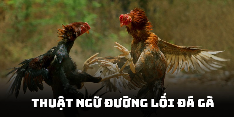 Từ ngữ mô tả lối tung đòn của chiến kê