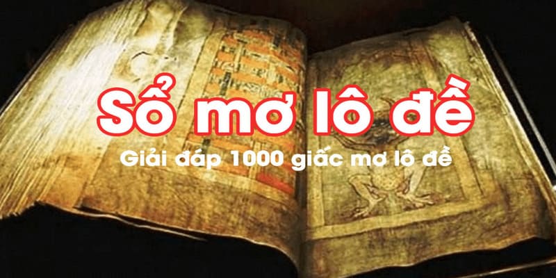 Ví dụ về giải đáp sổ mơ lô đề trong từng trường hợp